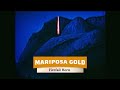 Firefall Horn - Mariposa Gold