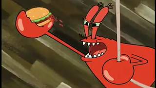 Plankton