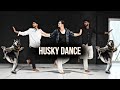 Husky Dance Ichu Ichu Song Husky Viral Dance Video Reels Trending Dance Dance Tutorial