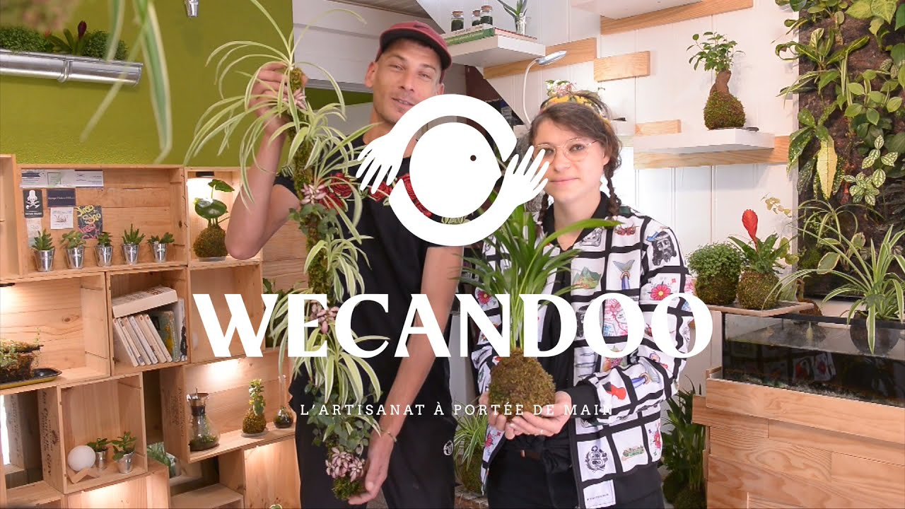 Créez votre kokedama - Vidéo