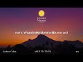 Andrew Cohen - Meditation - N° 1 - Radical Honesty