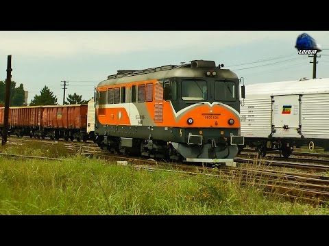 1xEGM621 Loco & 2x060-DA/ST43 Loco in Episcopia Bihor - 07 October 2014