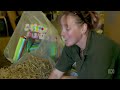 BBC The Zoo Series 2 Episode 8 Happy Birthday To Zoo