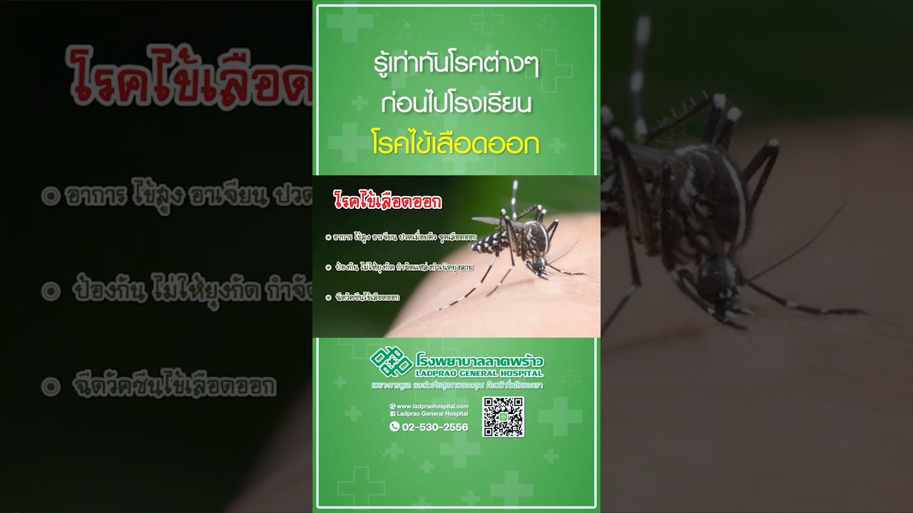 โรคไข้เลือดออก #โรงพยาบาลลาดพร้าว #โรคไข้เลือดออก