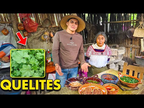 Probando Las MALVAS de Cerro : Cocinamos Quelites