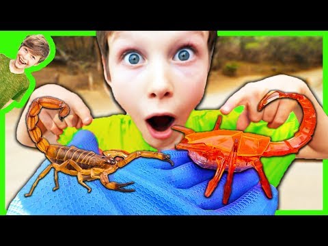 REAL SCORPION vs. HexBug SCORPION!