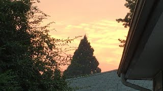 OWL 0106 Beautiful "end of summer" sunset in Eugene OR