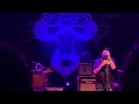Blues Traveler Live - Wolf - Atlantic City, NJ - 5/20/23