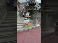 Donald Duck