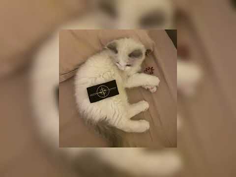 SPEED UP- мечты • Aarne, Feduk, Scally Milano• (speedmusicupup)