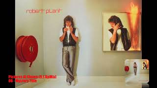 Robert Plant - 08 - Mystery Title (5.1 UpMix)