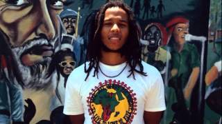 Ziggy Marley - Reggae Revolution