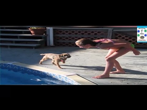 Funny prank for kids - kid disappears in brick wall prank - just for laughs gags.