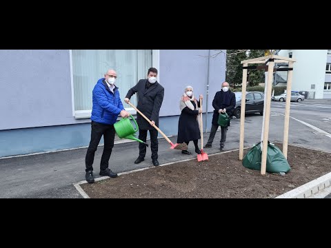 "Stadtradler“ der Firma Schaeffler ermöglichen Baumpflanzungen