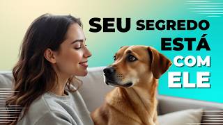 A VERDADE sobre o Vínculo com Seu Cachorro que Ninguém Conta