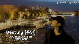 Download lagu 1 Hour/1시간 Loop] WOOZI [우지] SEVENTEEN - Destiny [운명] - Han-Eng Lyrics/가사 mp3