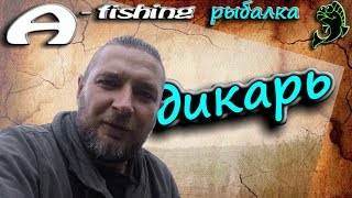 Любительская фидерная ловля на диких водоемах