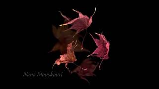 Nana Mouskouri - &quot;Autumn Leaves&quot;