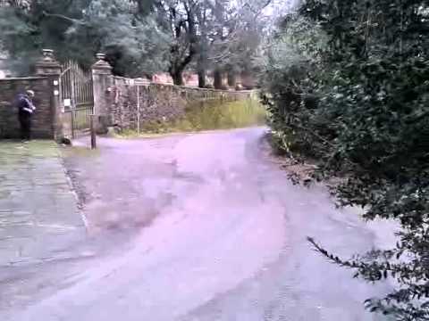 Rally del carnevale 2014 PS 2