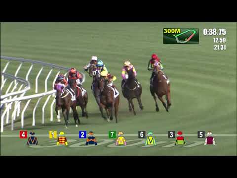 6/4/2022 (557) Whizz Kid - J Moreira