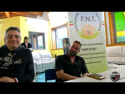 Taku Boutique Grooming Internship 2018 - Highlights