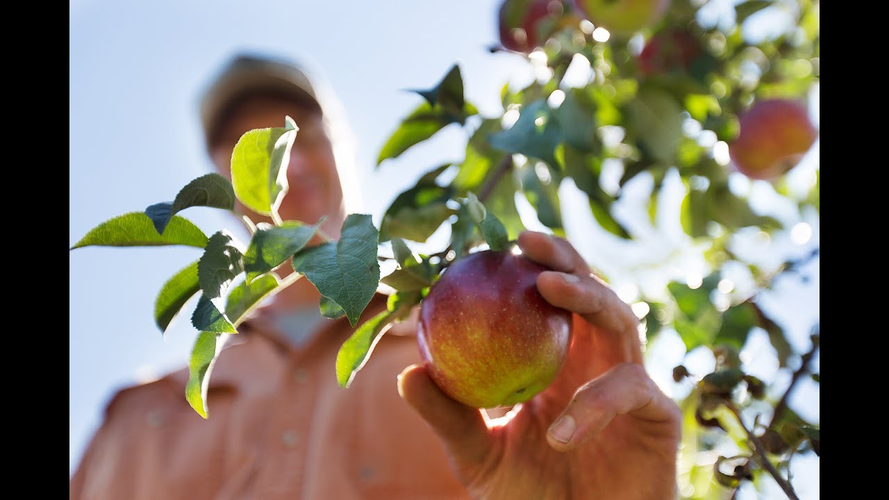 Nice to Meat You, Bill Suhr. (Champlain Orchards, Vermont)