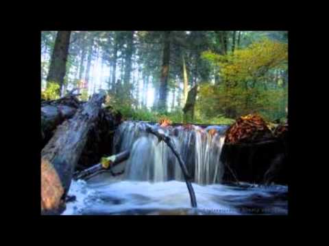 Lindos Hinos (Hinário 4 da CCB) - Samuel Camargo. ALELUIA!