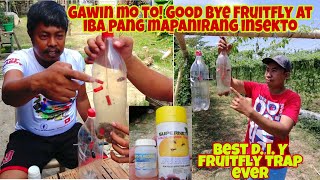 Paano Gumawa ng FRUITFLY TRAP at STICKER TRAP- Easy way