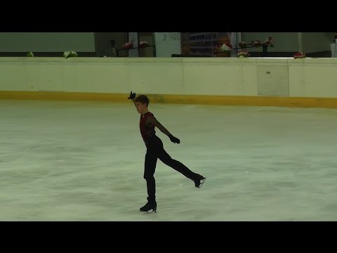 Cup of Tyrol 2017 Deniss Vasiljevs FS