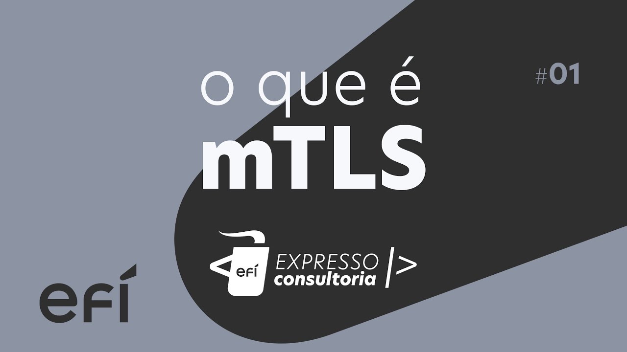 O que é e como funciona o método mTLS? | Expresso Consultoria