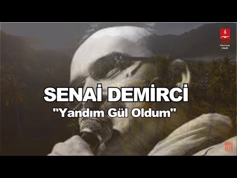 SENAİ DEMİRCİ  "YANDIM GÜL OLDUM"