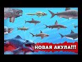 Hungry Shark Evolution. Обзор новой акулы динозавра. 