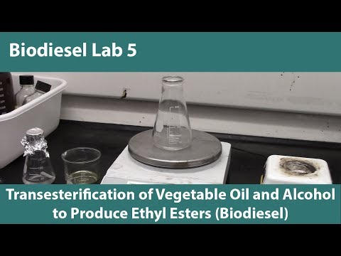 Lab 5- Transesterification of Vegetable Oil and Alcohol to Produce Ethyl Esters (Biodiesel)