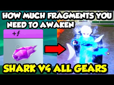 HOW MUCH FRAGMENTS TO AWAKEN SHARK V4 ALL GEARS | BLOX FRUITS