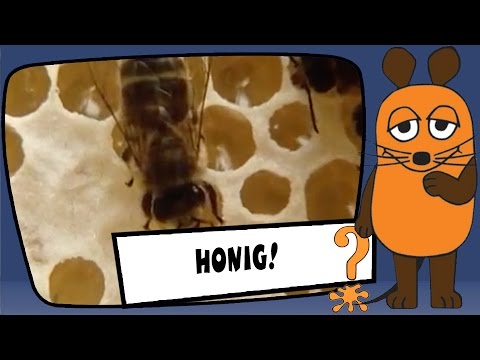 Woher kommt Honig? - Sachgeschichten mit Armin Maiwald