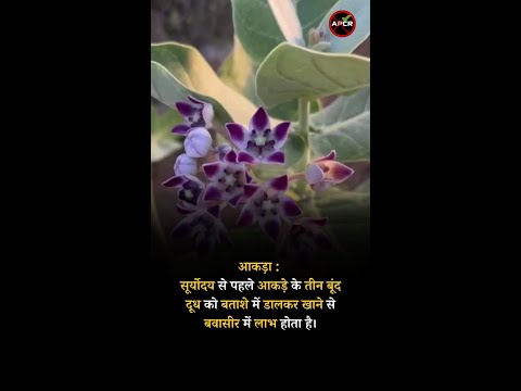 Natural and Home Remedies for Piles Ankada #pilesclinic #antipiles #pilescare #shorts #pilestypes