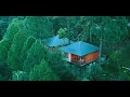 Experience The Bird Watching At Resort In Almora Club Mahindra
