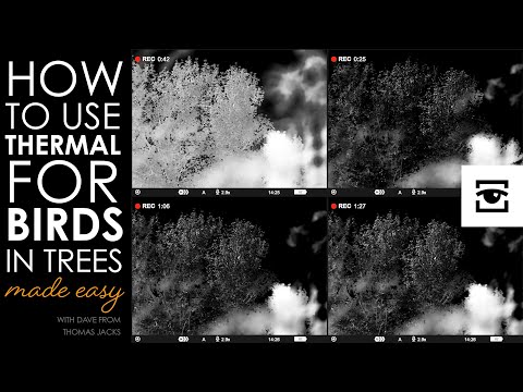 3 top thermal tips to help find birds in trees... made easy, with Pulsar Wildlife