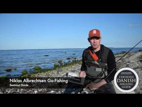 Fiskeri efter havørred i juni med Havørred Guide
