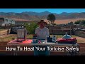 Proper Tortoise Heating — Why Heat Bulbs Can Harm & How We Save Lives Safely