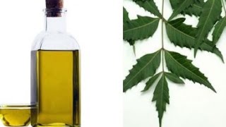 How To Make Neem Oil at Home and Benefits