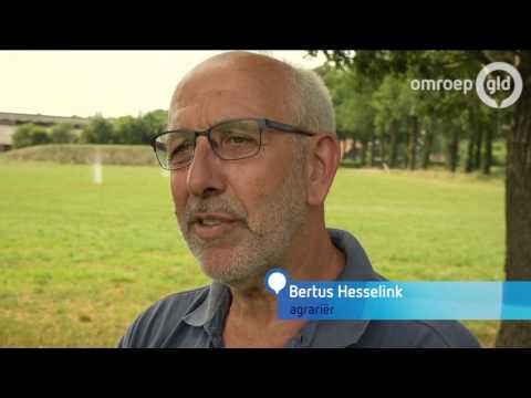 GLD Nieuws 27 juni 2017