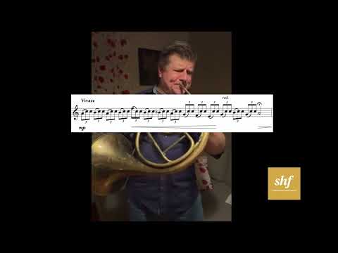 Cadenza Punto (Stich) / concerto n.5 Punto - Radek Baborak with Natural Horn