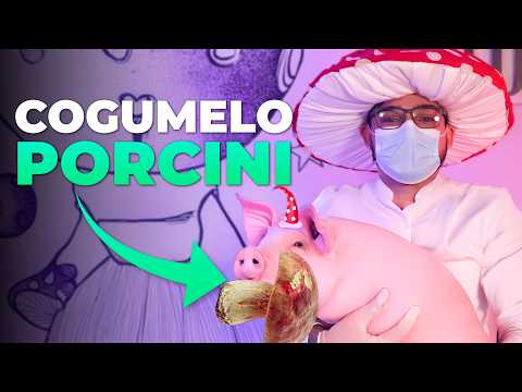 TUDO sobre o PORCINI! A REALEZA dos Cogumelos Comestíveis (Boletus edulis)