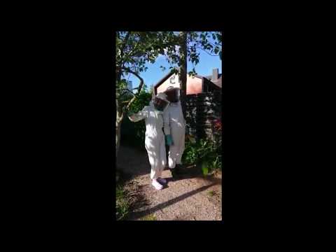 beeMOOC - Schwarm Schilfturm 2020