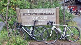 RS のライブ配信