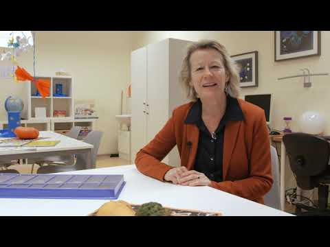 Digitaler Campusrundgang Tag der offenen Tür 2020