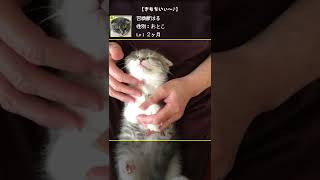 そこそこ～ きもちぃぃぃぃ～