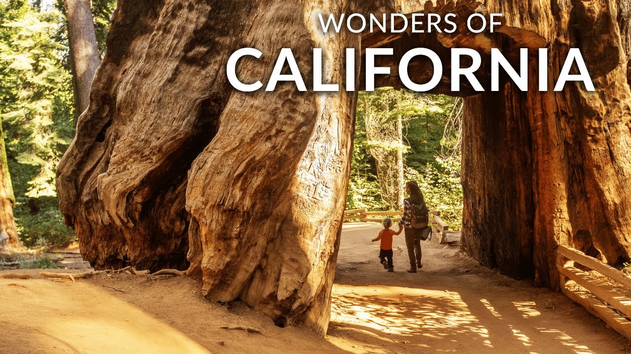 WONDERS OF CALIFORNIA | The Most Amazing Places in California | Travel Video