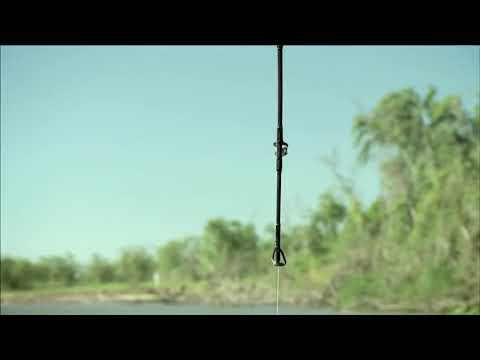 The short tailed river stingray-River monster
